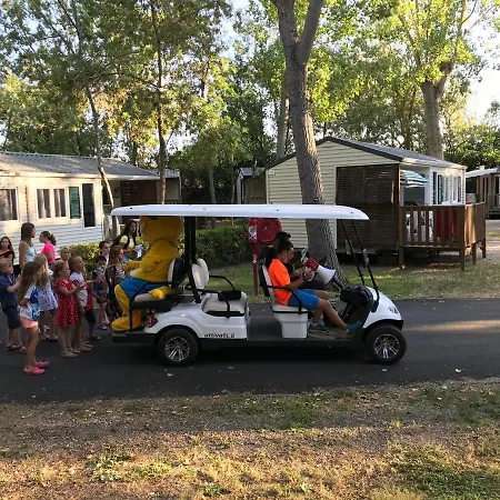 Mobile Tohapi Camping